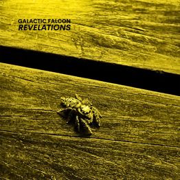 Cover art for Revelations by Galactic Falcon